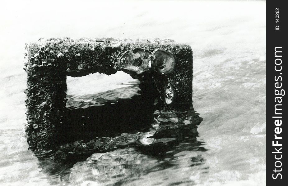 Original black and white photo of a found item, a brick in the sea covered with barnacles. Original black and white photo of a found item, a brick in the sea covered with barnacles.