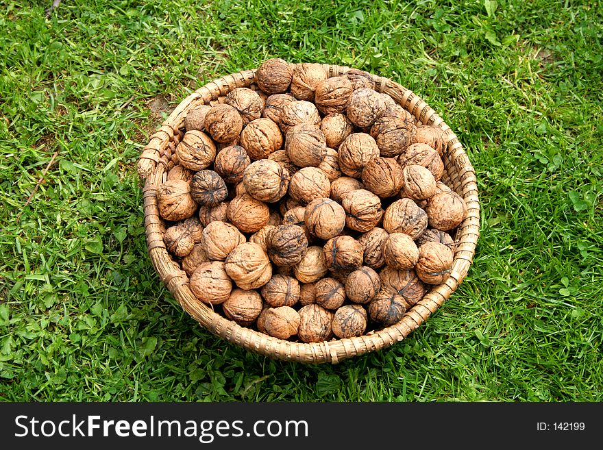 Basket with walnuts on the grass