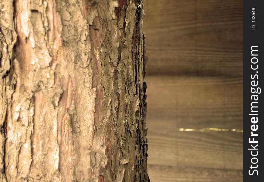 Bark on a tree. Wood tiles in the background. Bark on a tree. Wood tiles in the background.
