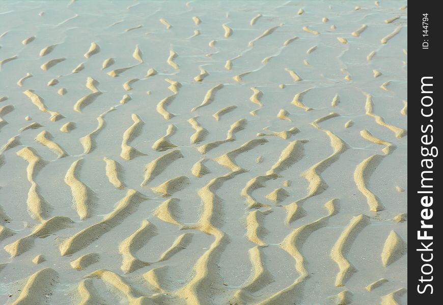 Background – Mud flats