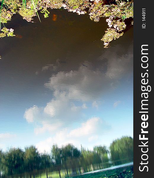 Clouds, shore and trees reflected on the surface of the nashawannuck pond in easthampton massachusetts, small fish can be seen near the clouds, there are leaves on the surface. Clouds, shore and trees reflected on the surface of the nashawannuck pond in easthampton massachusetts, small fish can be seen near the clouds, there are leaves on the surface