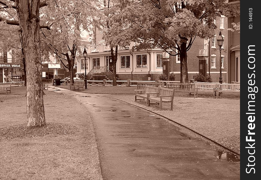 Rainy Day At The Park In Harvard Square