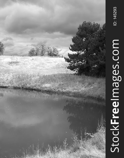 This is an infrared image of a pond area. This is an infrared image of a pond area.