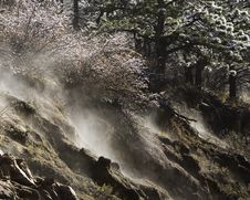 Melting Snow Royalty Free Stock Image Melting Snow Royalty Free Stock Image