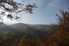 Autumn Forest Royalty Free Stock Photography Autumn Forest Royalty Free Stock Photography
