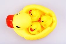 Rubber Duck Stock Images
