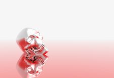 Steel Skull Stock Image Steel Skull Stock Image