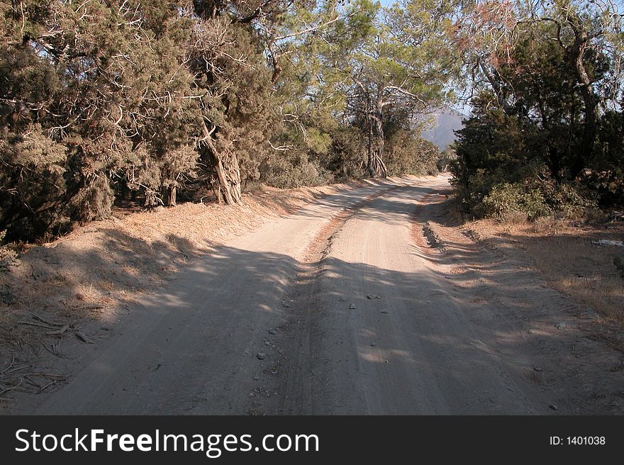 Forest off road. From Akamas Peninsula in Cyprus. Forest off road. From Akamas Peninsula in Cyprus