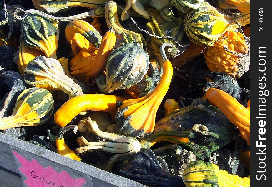 A bin of colorful dried gourds at roadside stand. A bin of colorful dried gourds at roadside stand