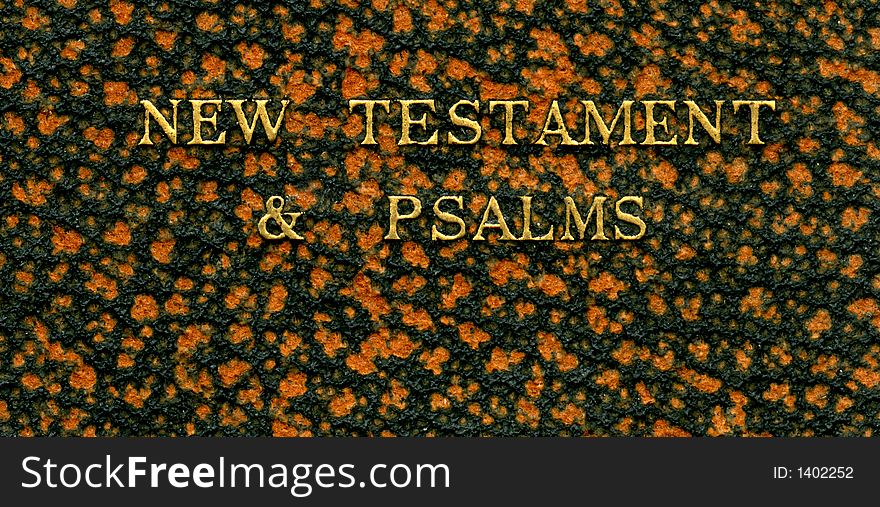 Leather book cover - New Testament and Psalms