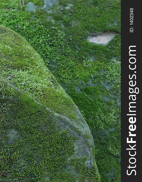Green moss covering Sandstone rocks. Green moss covering Sandstone rocks.