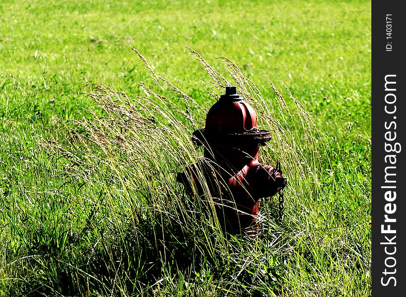 Photo of fire hydrant at the edge of an empty field.