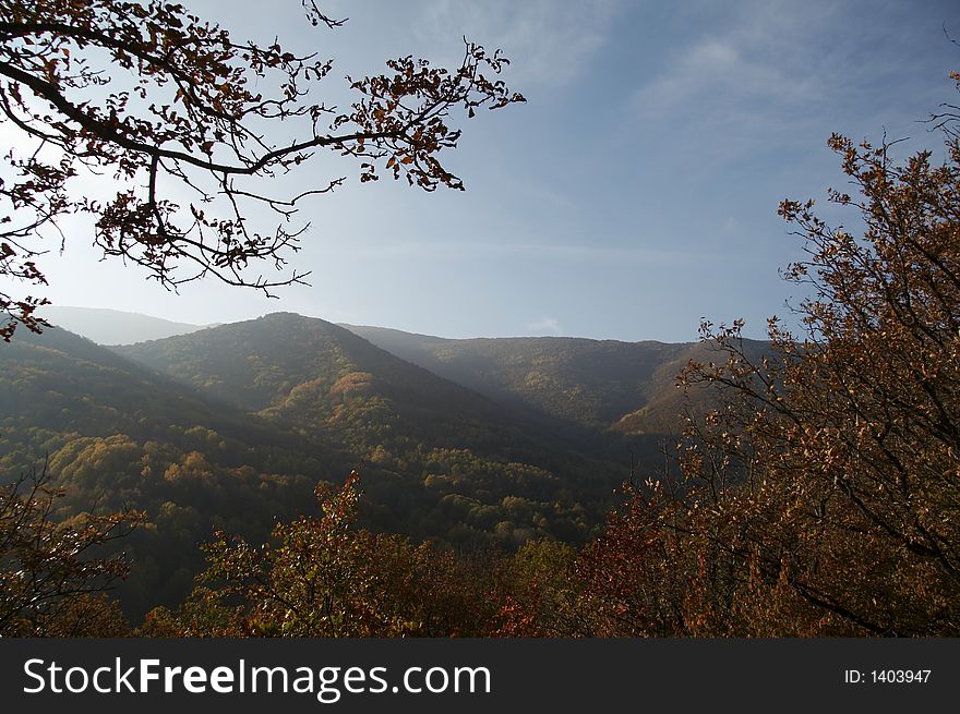 Autumn forest in the Crimea mountain