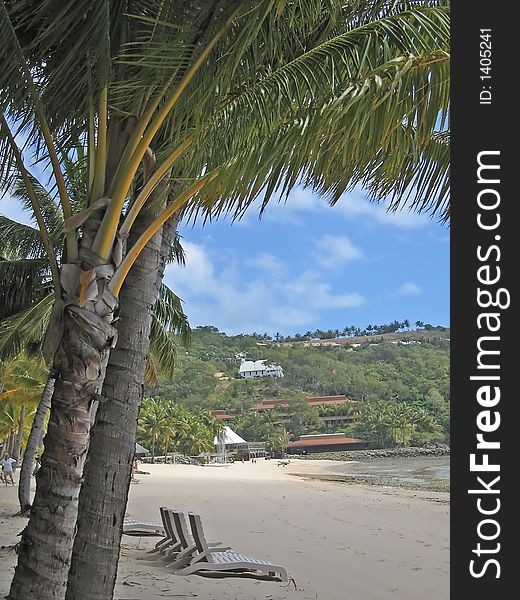 View Of The Hamilton Island