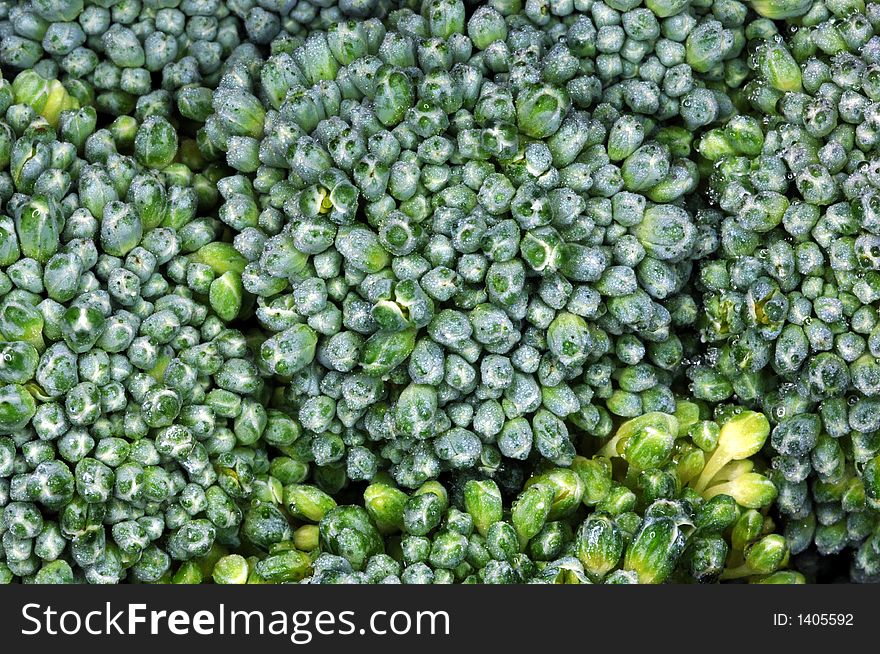 Closeup of fresh, dewy broccoli florets.