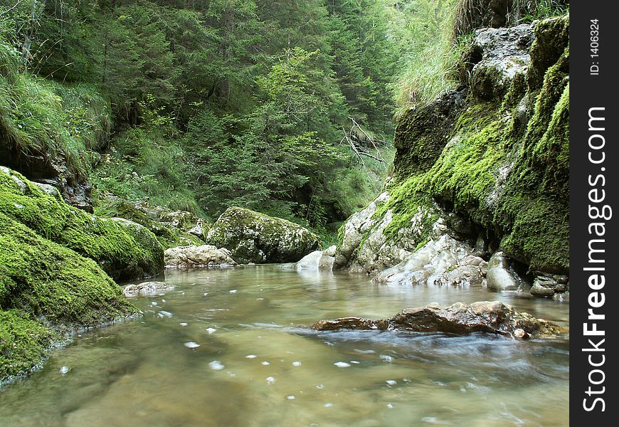 River in forest, jura, france