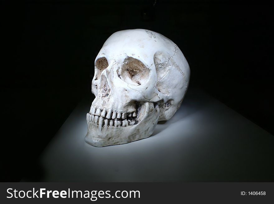 Model of skull in dark