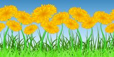 Horizontally Seamless Dandelion Pattern Stock Photo Horizontally Seamless Dandelion Pattern Stock Photo