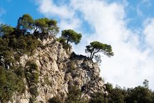 Italy, Trees On A Mountain Crest Stock Photography Italy, Trees On A Mountain Crest Stock Photography