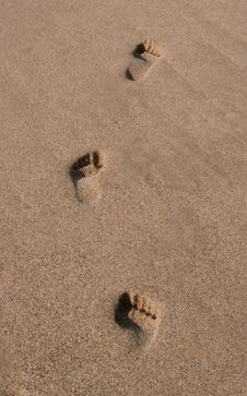 Footprints On The Beach Stock Image Footprints On The Beach Stock Image