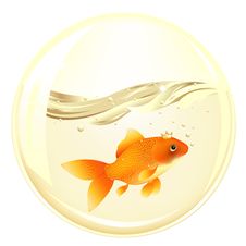 Ball With GoldFish. Vector Stock Photography Ball With GoldFish. Vector Stock Photography