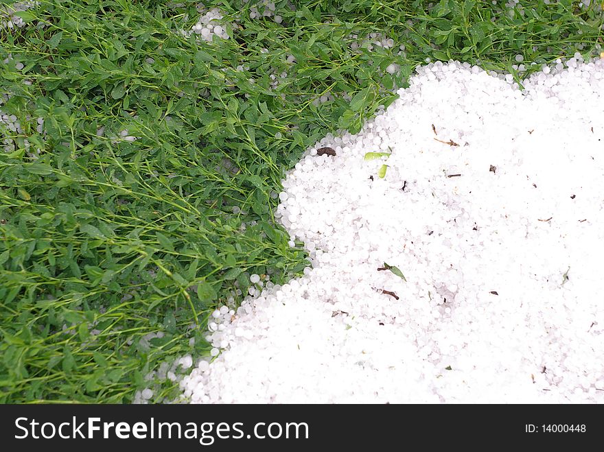 Hail and f green grass in summer. Hail and f green grass in summer