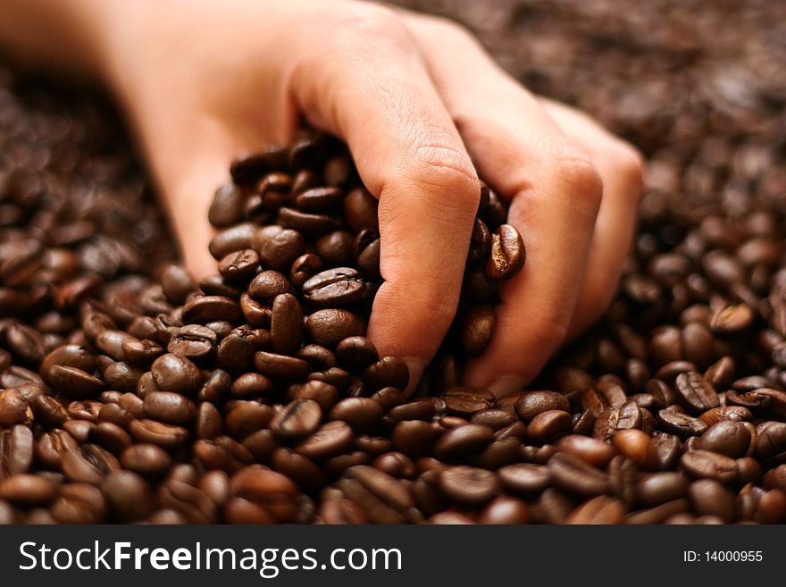 Women hand holding coffee beans background