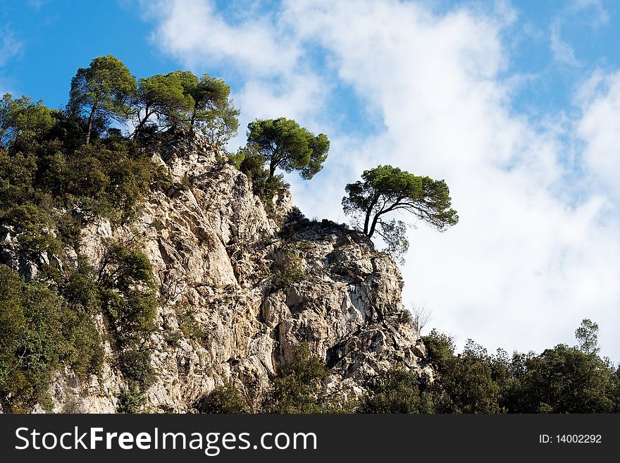 Trees on a Mountain's Crest against the sky near to Le Marmore's Waterfall in Umbria, Italy. Trees on a Mountain's Crest against the sky near to Le Marmore's Waterfall in Umbria, Italy