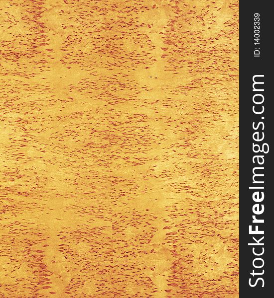 Wood Texture Background_masur Birch_23