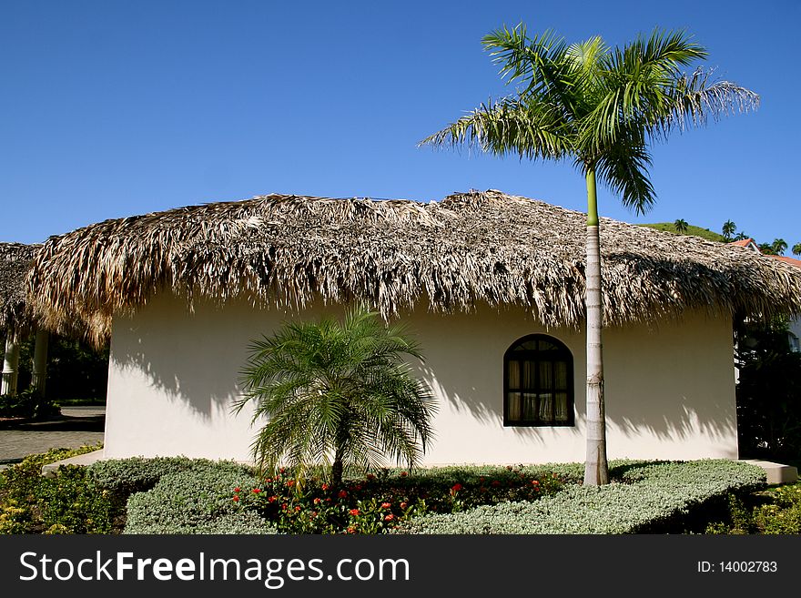 Beautiful white thatched roof home and palm trees. Beautiful white thatched roof home and palm trees