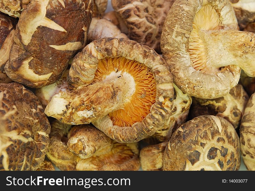 Dried Shitake mushrooms