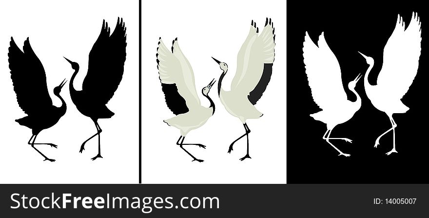 Black silhouette and white silhouette of dancing birds