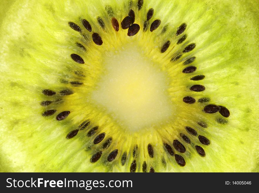 Slice of Kiwi Fruit, Chinese Gooseberry, close up. Slice of Kiwi Fruit, Chinese Gooseberry, close up