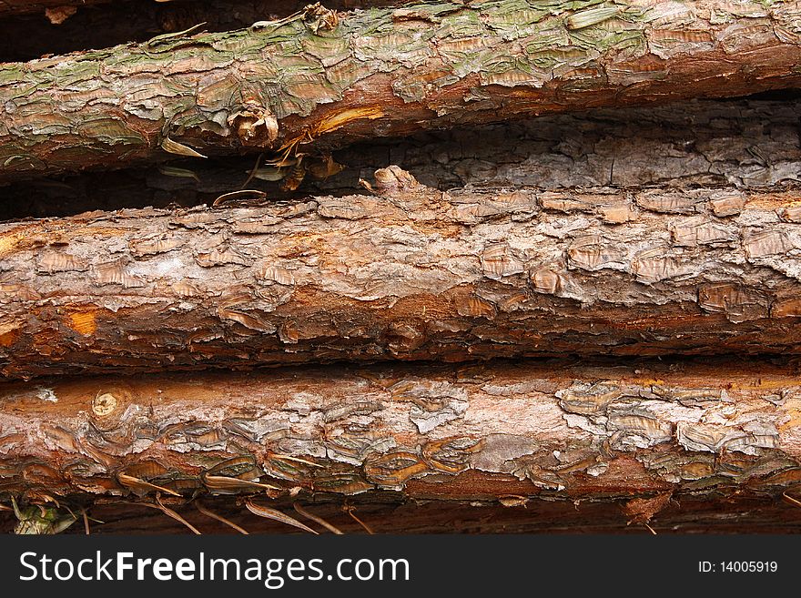 Logs of various sizes stacked in a pile