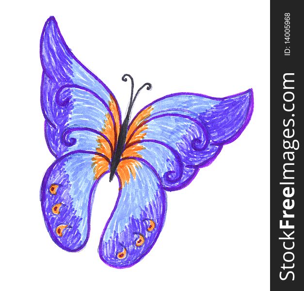 Butterfly, stylish colored drawing, bright decoration element