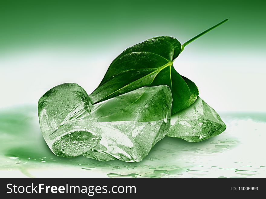 Fresh green leaf with ice