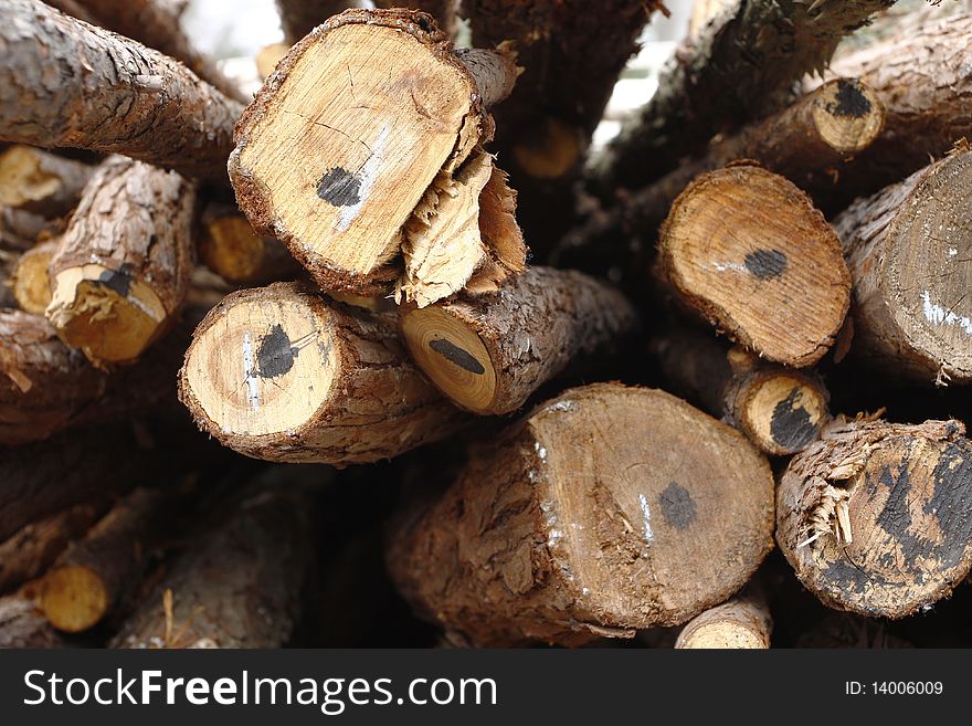 Logs of various sizes stacked in a pile