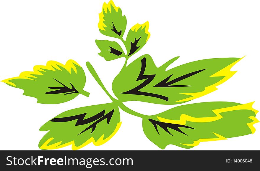 Young leaves. A illustration