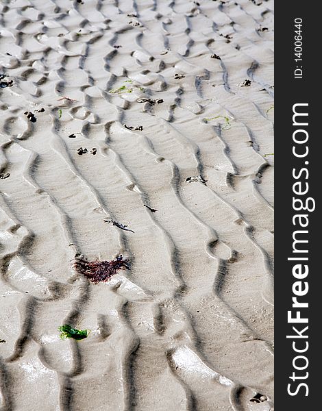 A ridged pattern in the sand made by the tide. A ridged pattern in the sand made by the tide.