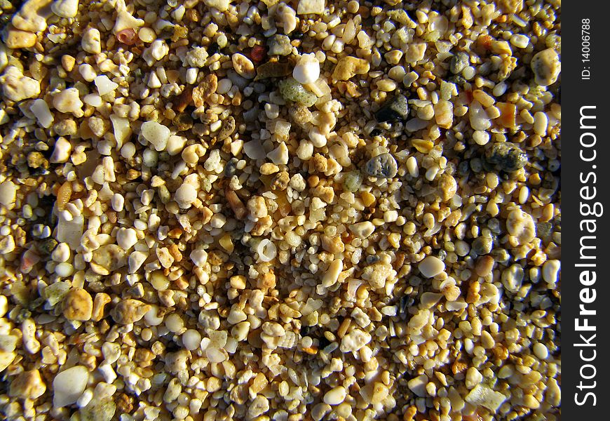 Background texture of coral and pebbles on a beach. Background texture of coral and pebbles on a beach
