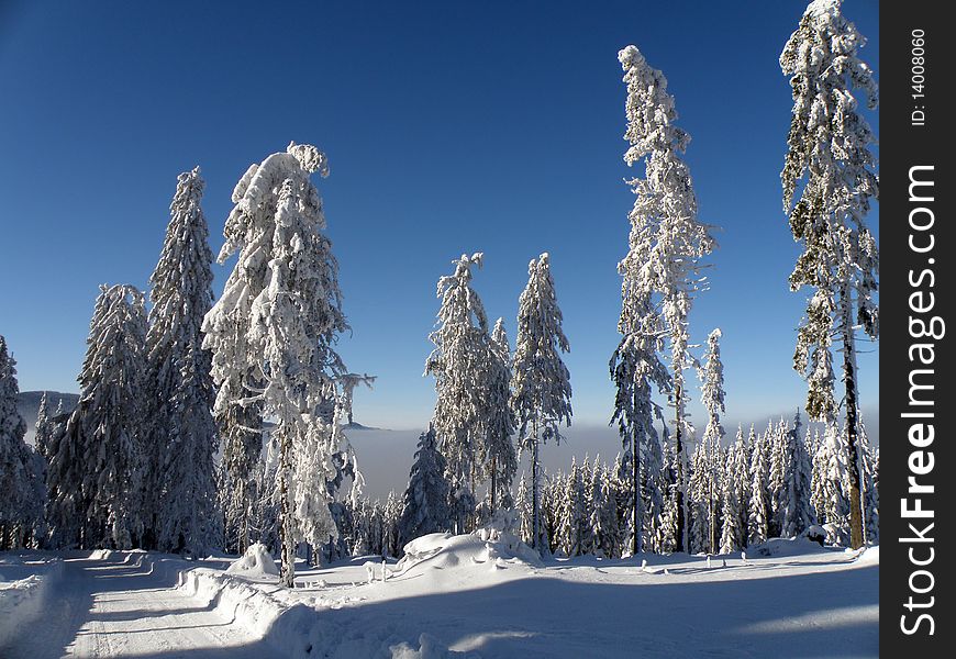 Snowy landscape Bohemian Forest suitable place for winter sports. Snowy landscape Bohemian Forest suitable place for winter sports.