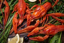 Crayfish. Red Boiled Crawfishes On Table In Rustic Style, Closeup. Lobster Closeup. Royalty Free Stock Images Crayfish. Red Boiled Crawfishes On Table In Rustic Style, Closeup. Lobster Closeup. Royalty Free Stock Images
