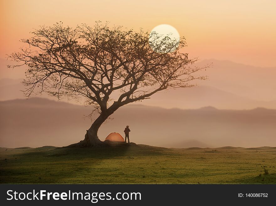 Man in camping site under the tree with sunset or sunrise
