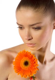 Beautiful Young Woman With Gerber Flower Royalty Free Stock Photography Beautiful Young Woman With Gerber Flower Royalty Free Stock Photography