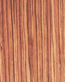 Wood Texture Background_tulip Wood_06 Stock Image