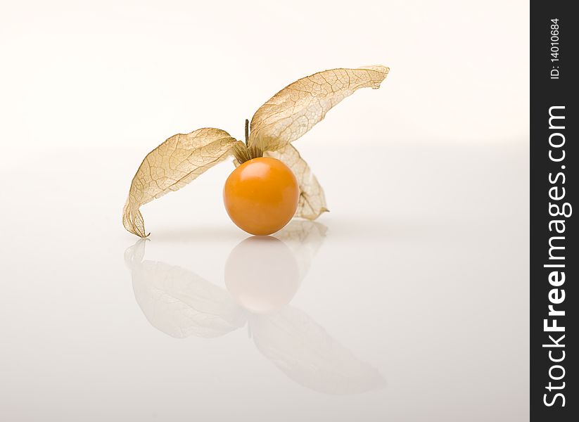 Cape Gooseberry (Physalis peruviana) with reflection below