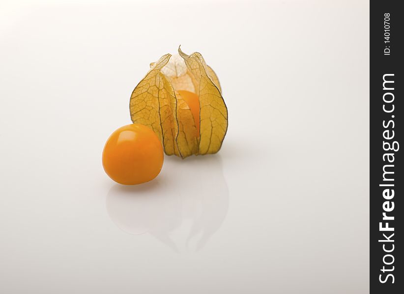 Two Cape Gooseberrys (Physalis peruviana) with reflection below. Two Cape Gooseberrys (Physalis peruviana) with reflection below