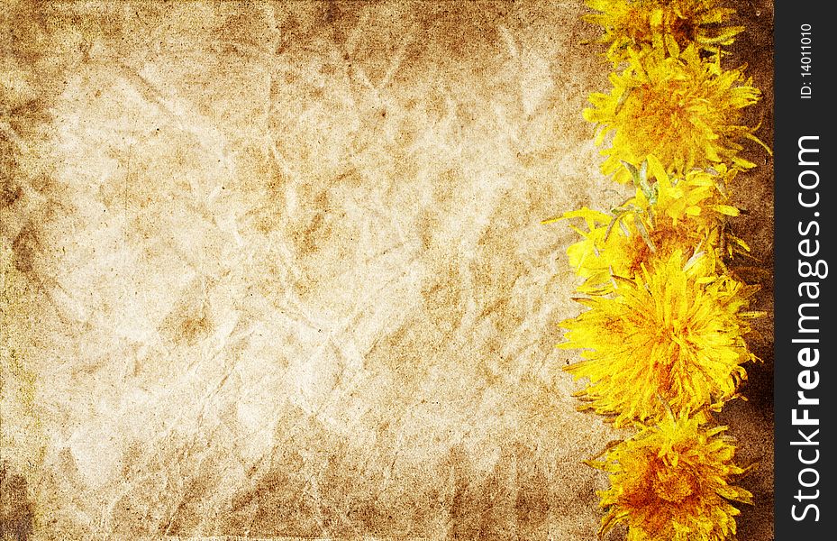 Grunge stained paper background with dandelions