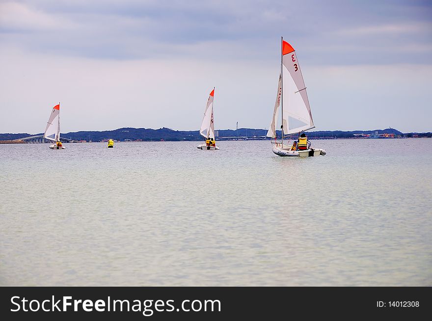 Several boats with sails floating on the ocean