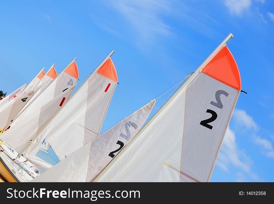 Several boats with sails